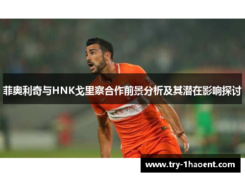 菲奥利奇与HNK戈里察合作前景分析及其潜在影响探讨